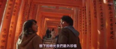 av自由停止的生活,探尋人生軌跡的轉(zhuǎn)折點(diǎn)